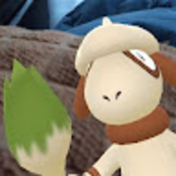 Meet your Posher, Dayle - Picture 1 of 1